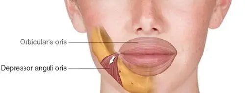 LOWER FACE BOTOX